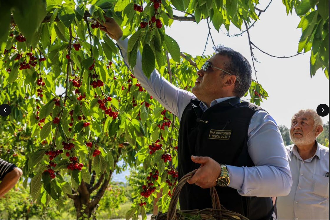 Vali Sözer Kiraz Hasadında Üreticilerle Buluştu
